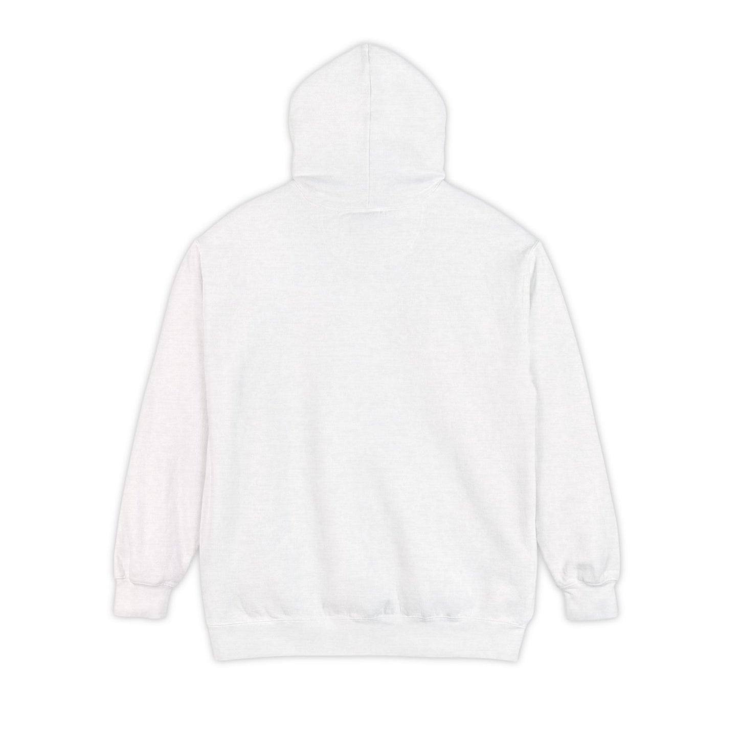Boston Sports Hoodie