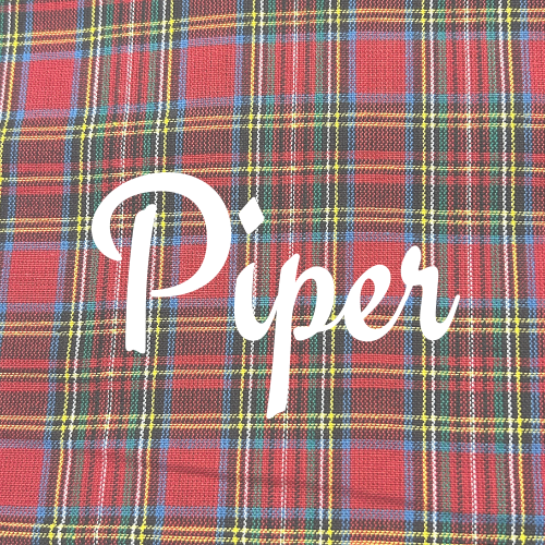 Custom Christmas Dog Bandana