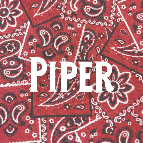 Custom Christmas Dog Bandana