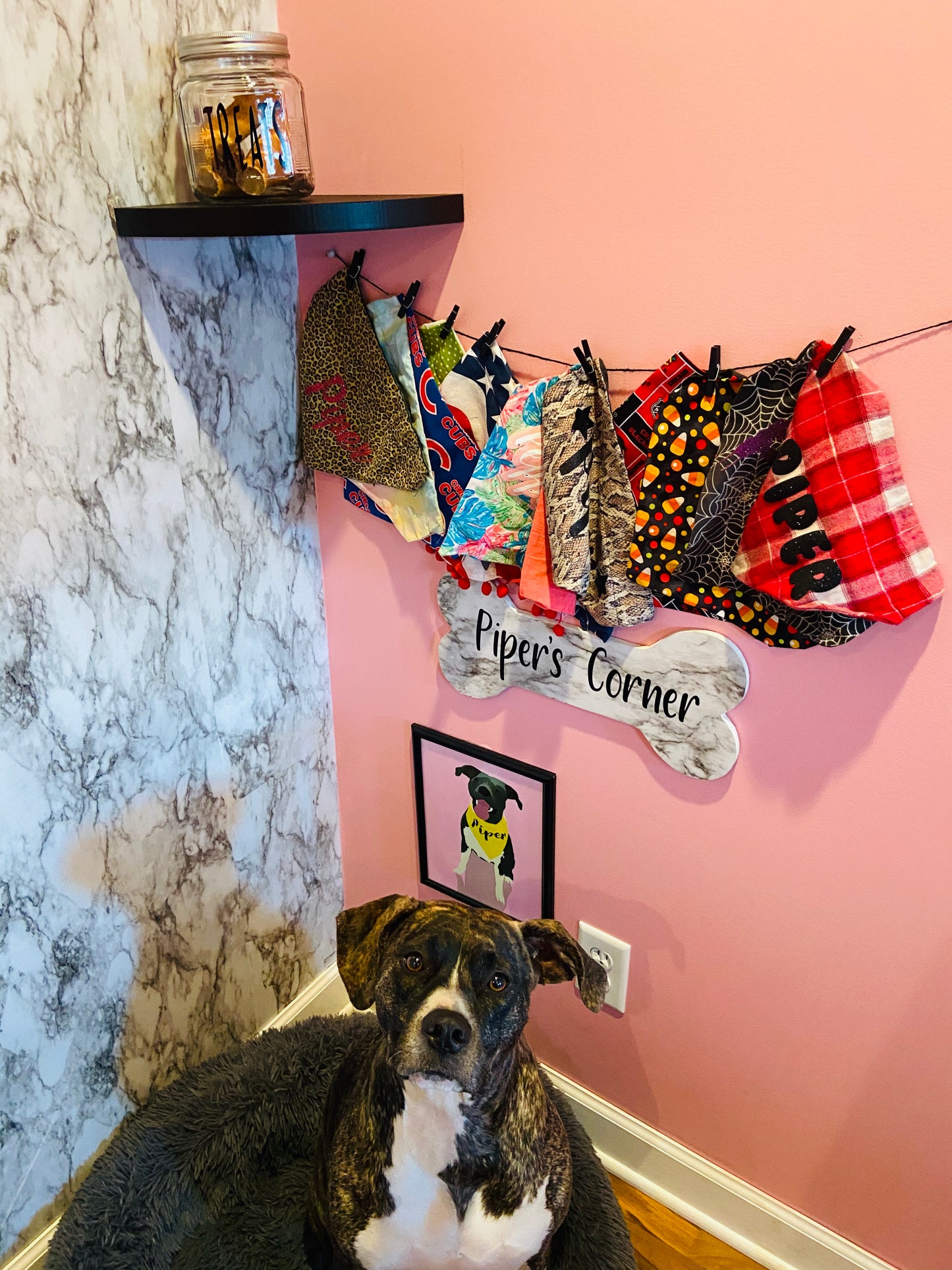 Custom Christmas Dog Bandana