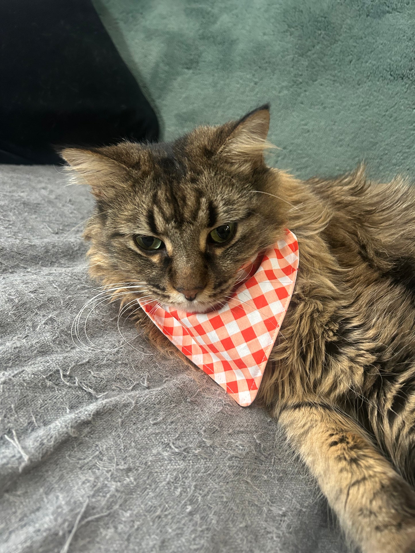 Custom Christmas Dog Bandana