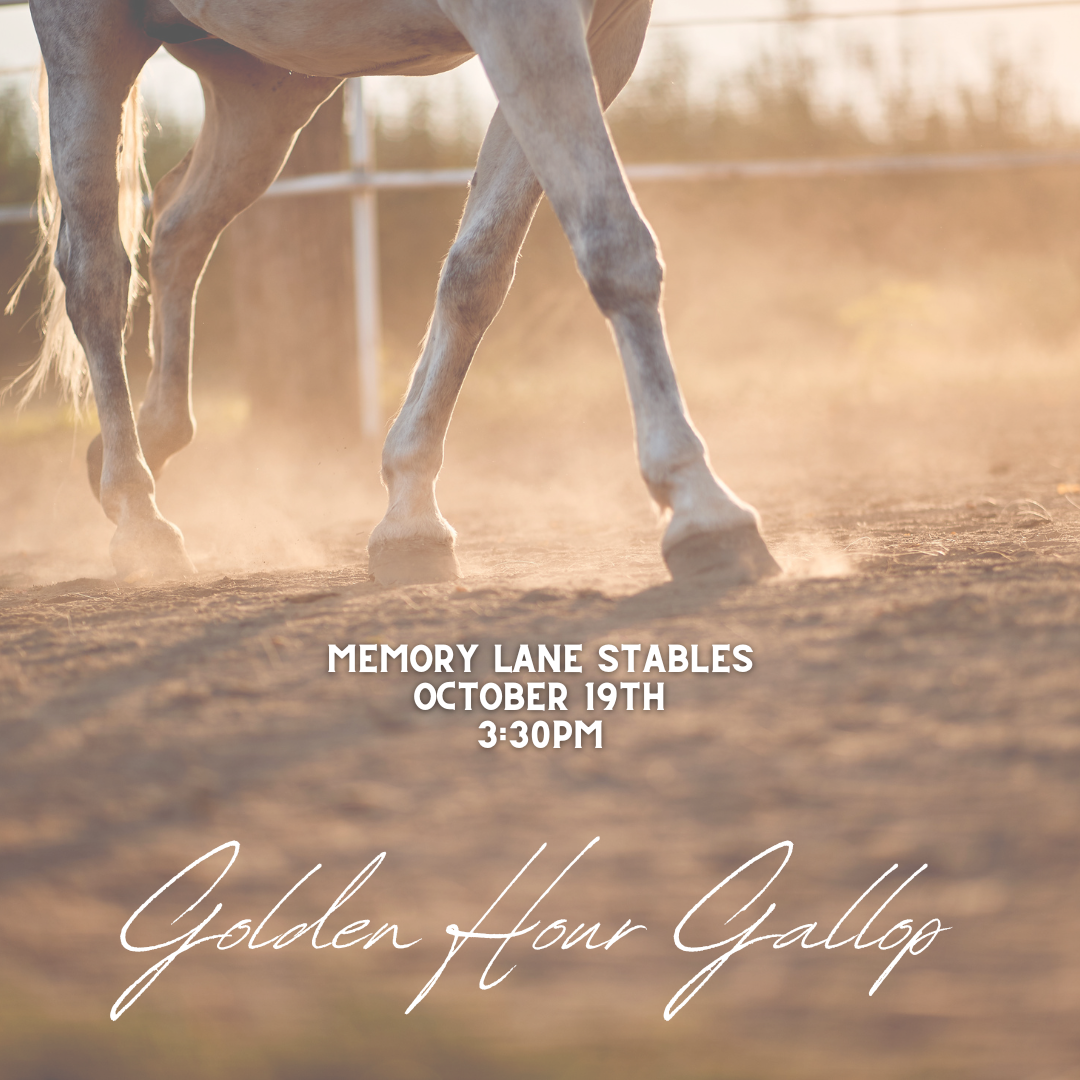 Golden Hour Gallop - Early Bird